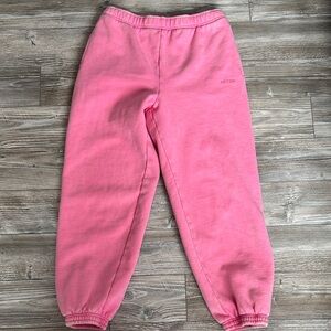 Aritzia Sweatfleece Joggers
